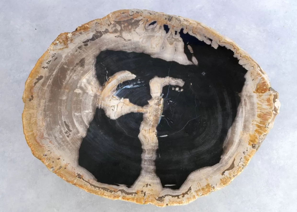 KARE Design Tische | Beistelltisch Alpha Versteinertes Holz