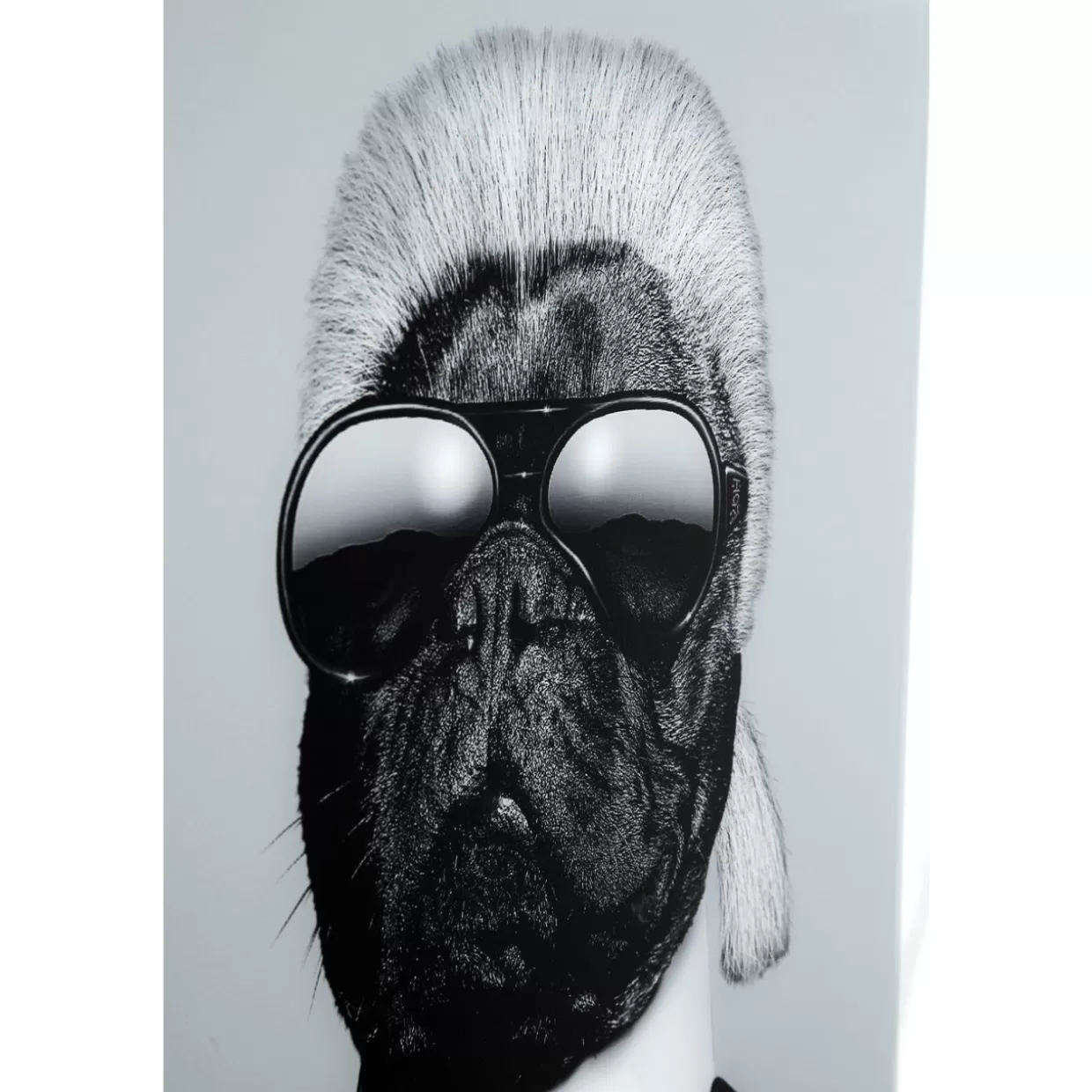 KARE Design Bilder | Bild Frame Mirror Designer Dog 60X60