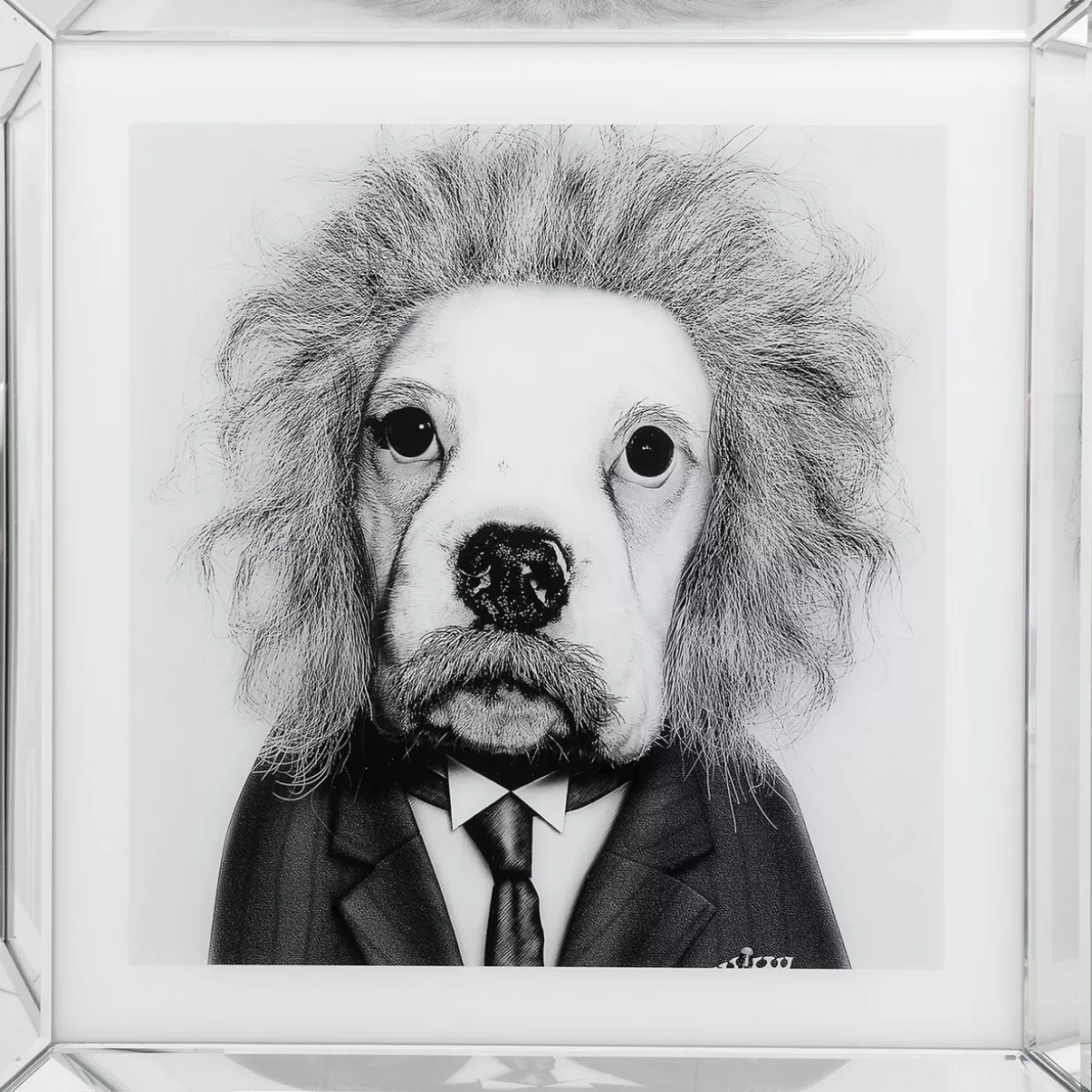 KARE Design Bilder | Bild Frame Mirror Smart Dog 60X60