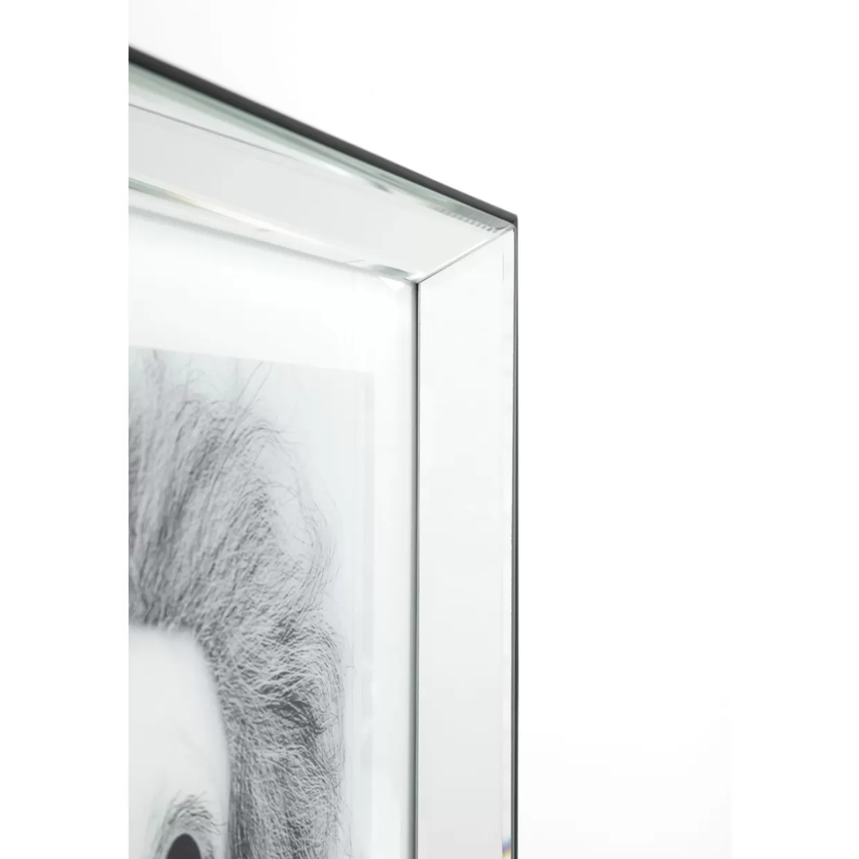 KARE Design Bilder | Bild Frame Mirror Smart Dog 60X60