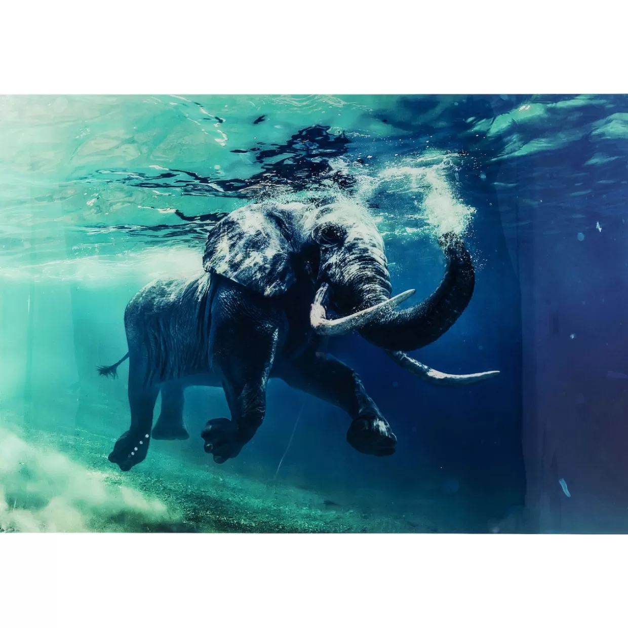 KARE Design Bilder | Bild Glas Swimming Elephant 180X120Cm