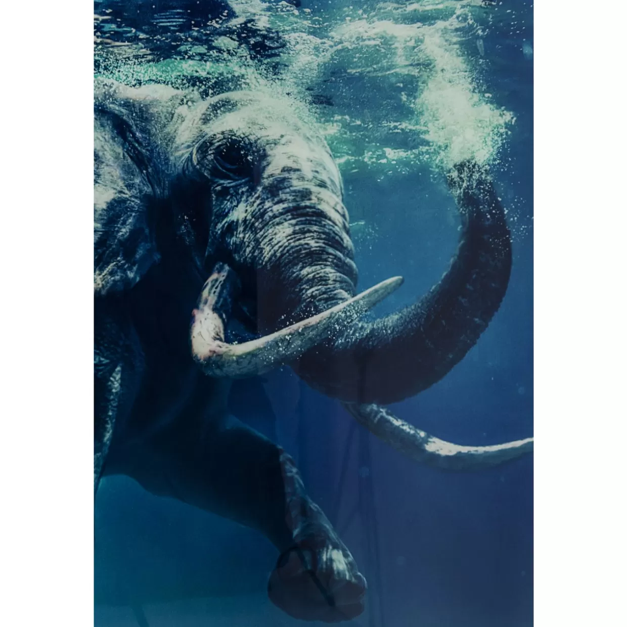 KARE Design Bilder | Bild Glas Swimming Elephant 180X120Cm