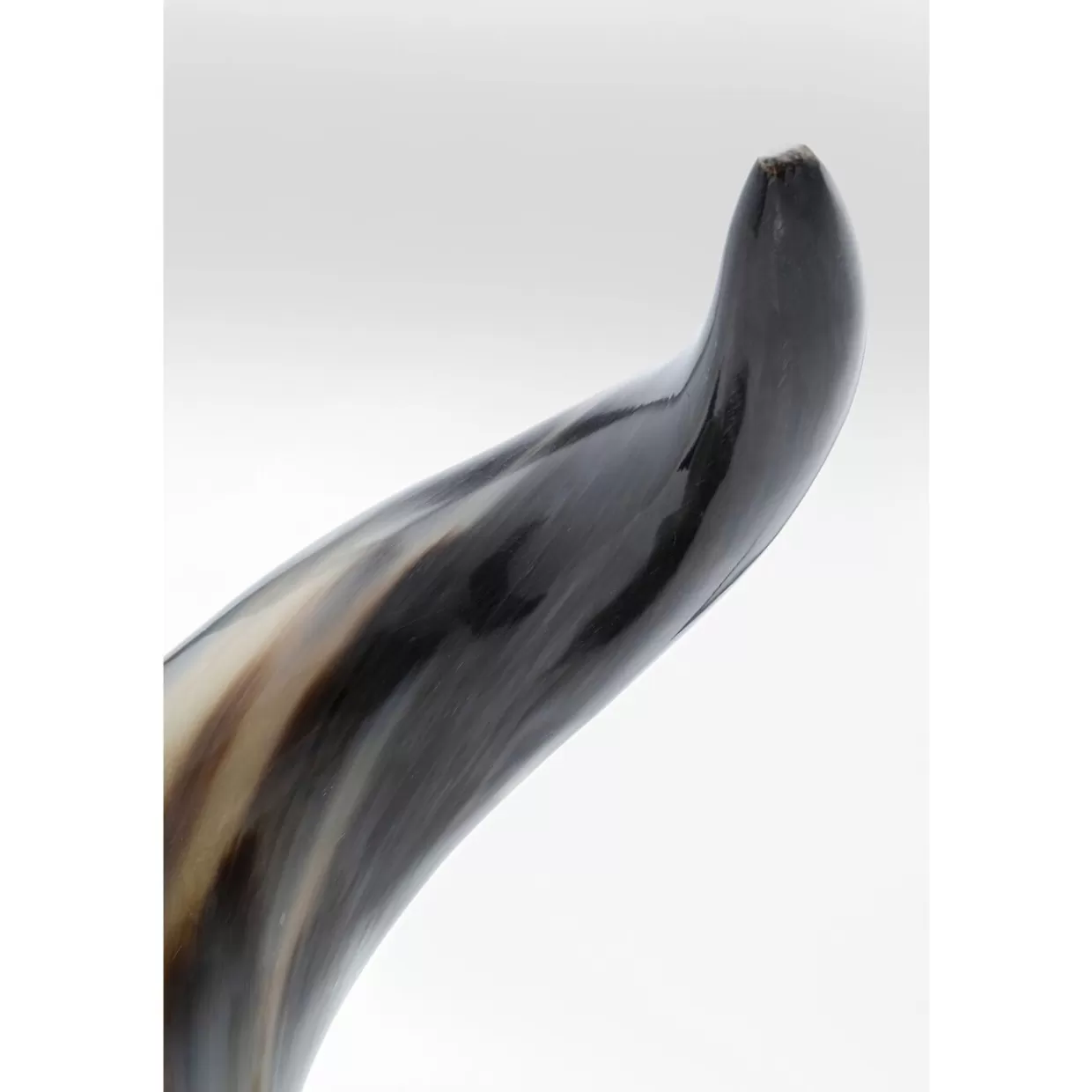 KARE Design Deko & Geschenkartikel | Buchstutze Horns (2/Set)