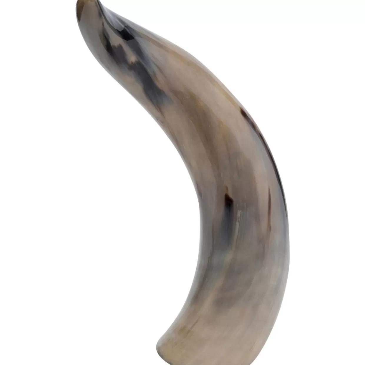 KARE Design Deko & Geschenkartikel | Deko Objekt Natural Horn