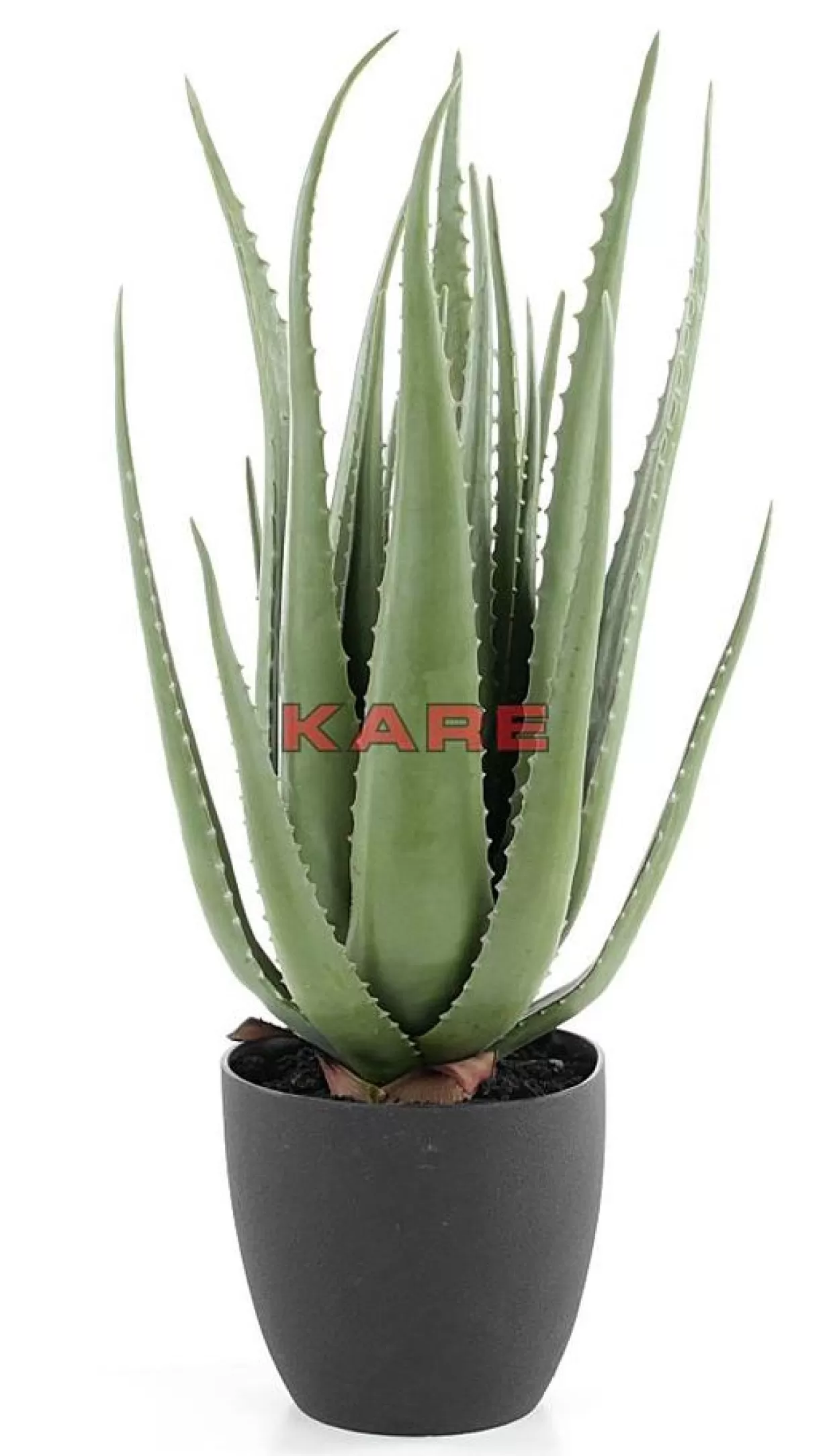 KARE Design Deko & Geschenkartikel | Deko Pflanze Aloe 69Cm