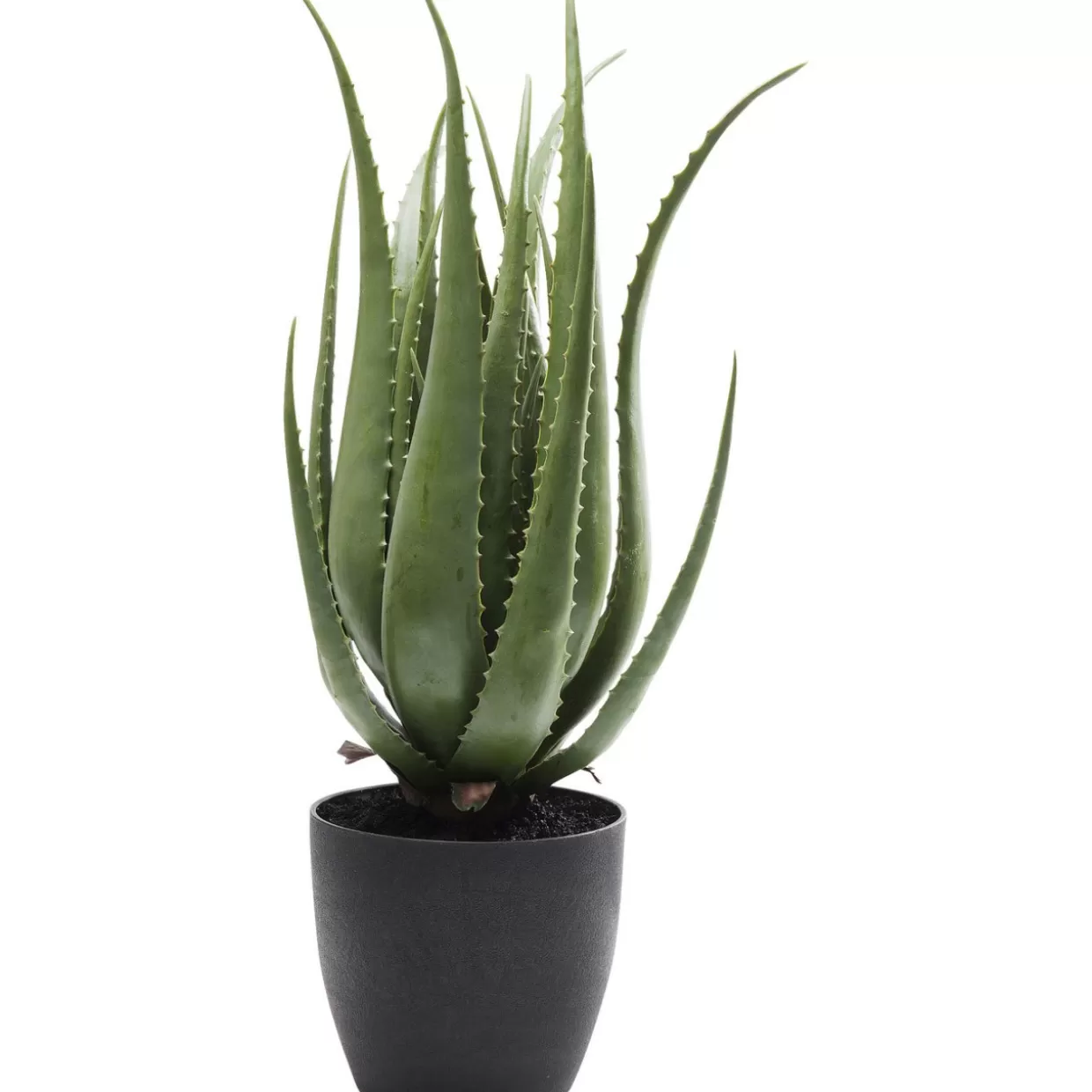 KARE Design Deko & Geschenkartikel | Deko Pflanze Aloe 69Cm