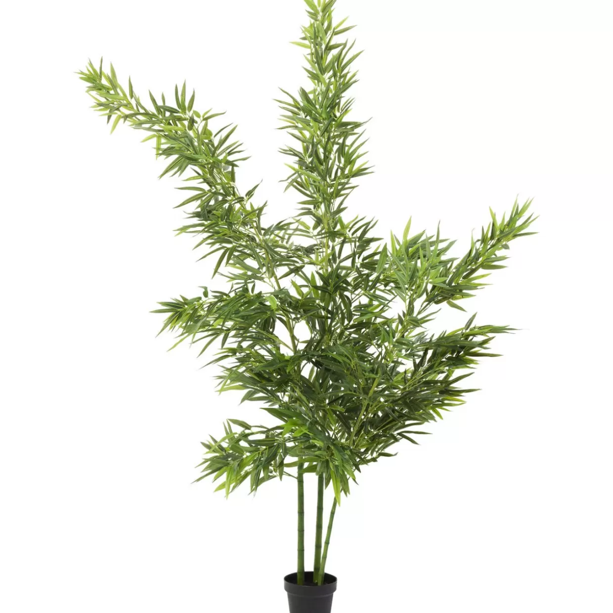 KARE Design Deko & Geschenkartikel | Deko Pflanze Bamboo Tree 200Cm