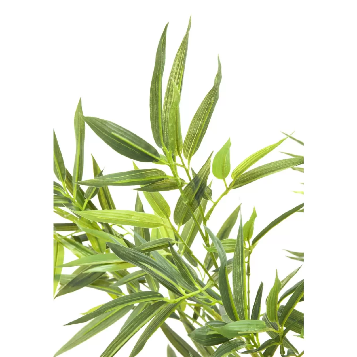 KARE Design Deko & Geschenkartikel | Deko Pflanze Bamboo Tree 200Cm