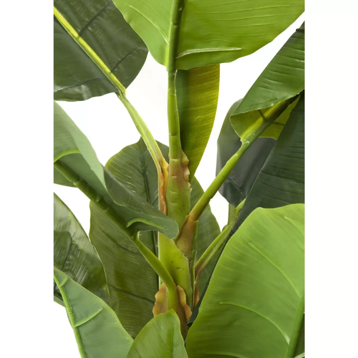 KARE Design Deko & Geschenkartikel | Deko Pflanze Banana Tree 180Cm