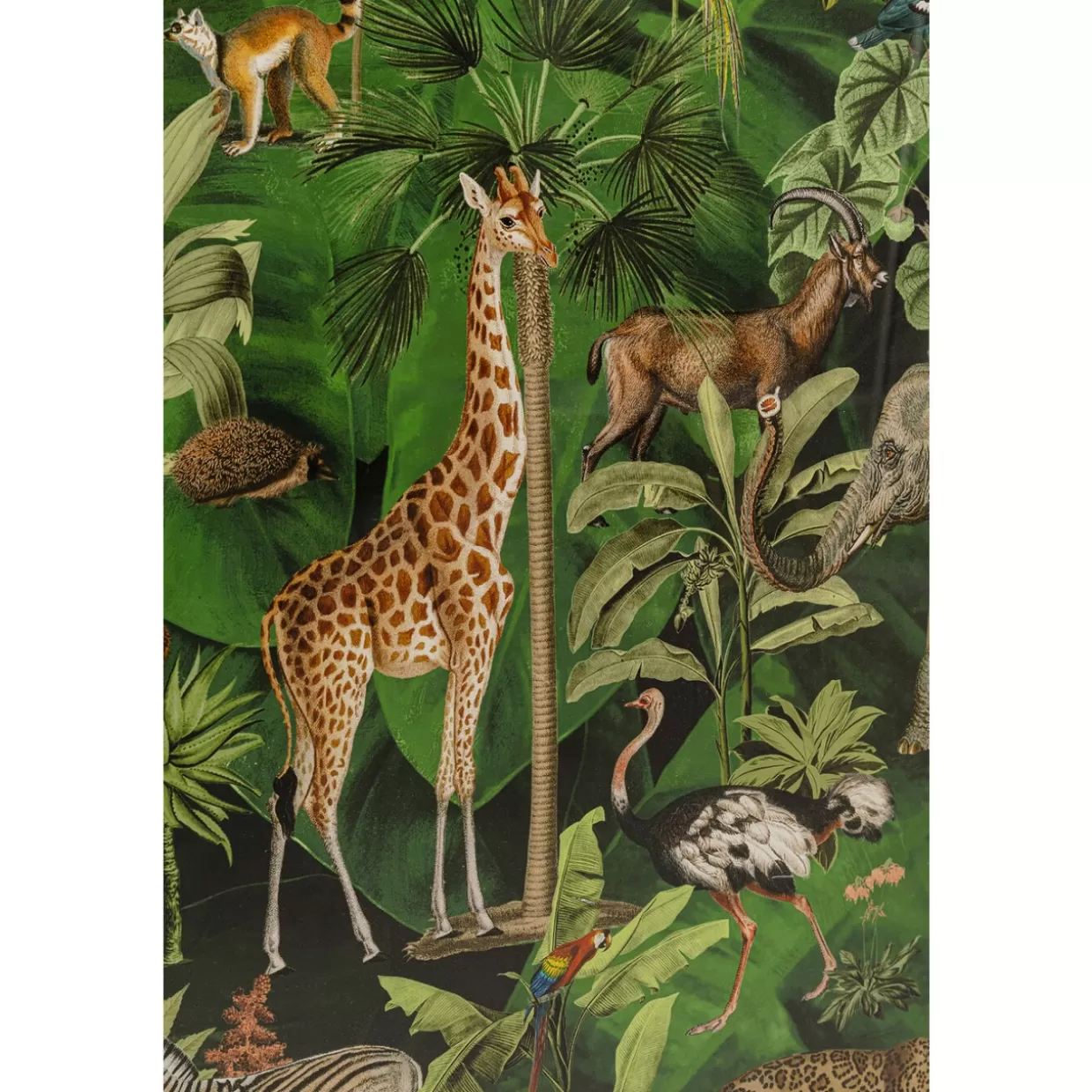 KARE Design Bilder | Gerahmtes Bild Animals In Jungle 80X100Cm