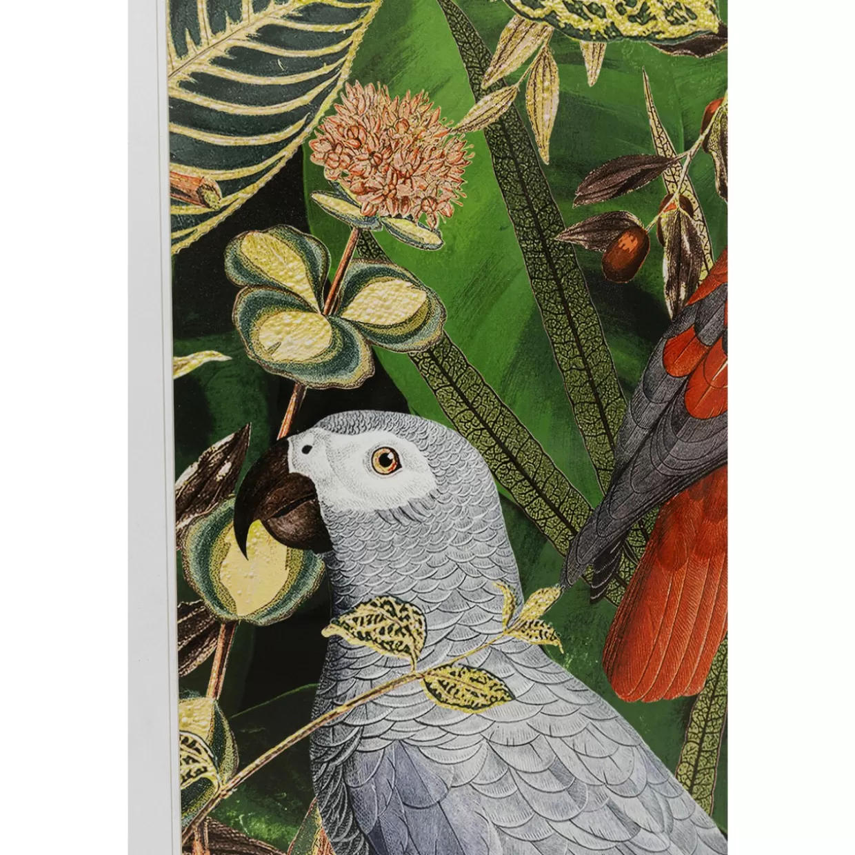 KARE Design Bilder | Gerahmtes Bild Birds In Jungle 80X100Cm