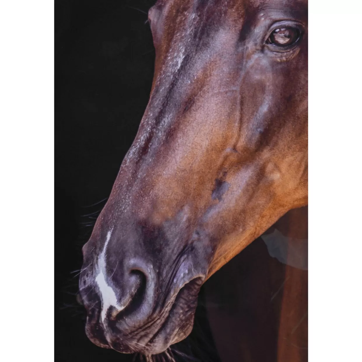 KARE Design Bilder | Gerahmtes Bild Wendy 75X105Cm