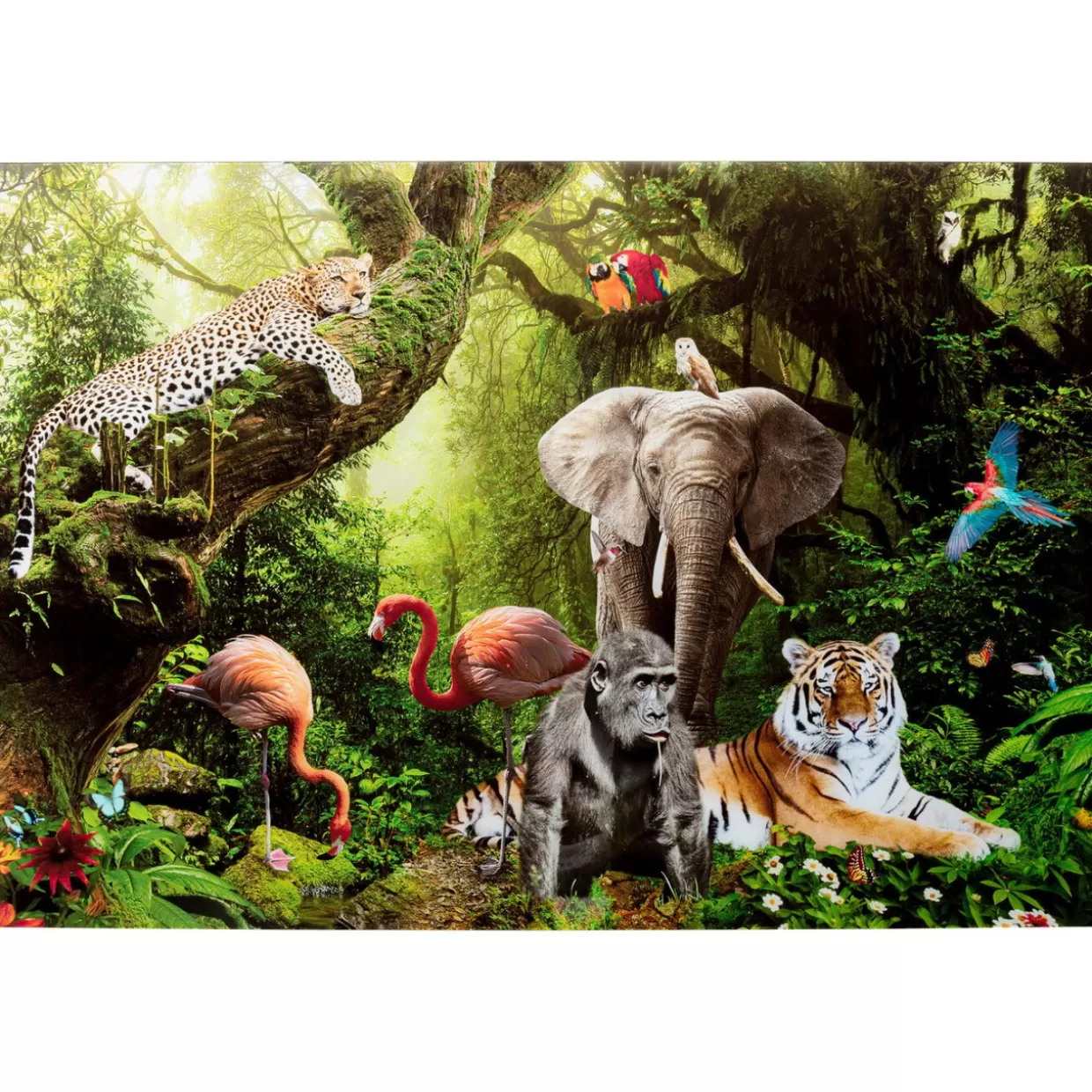 KARE Design Bilder | Glasbild Animal Paradise 150X100Cm