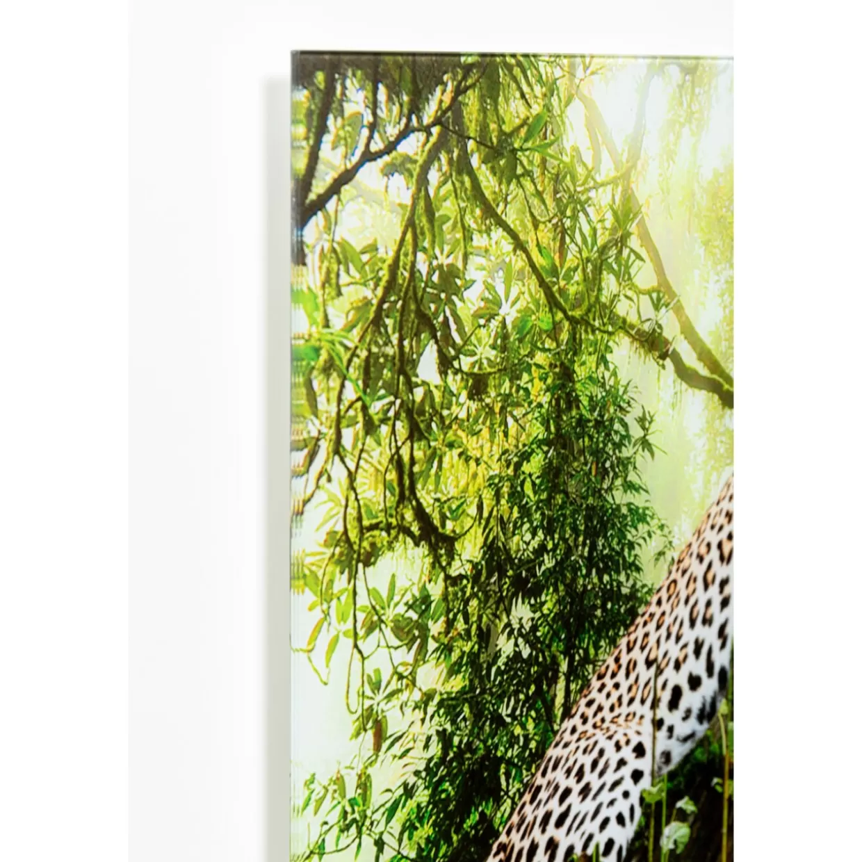 KARE Design Bilder | Glasbild Animal Paradise 150X100Cm
