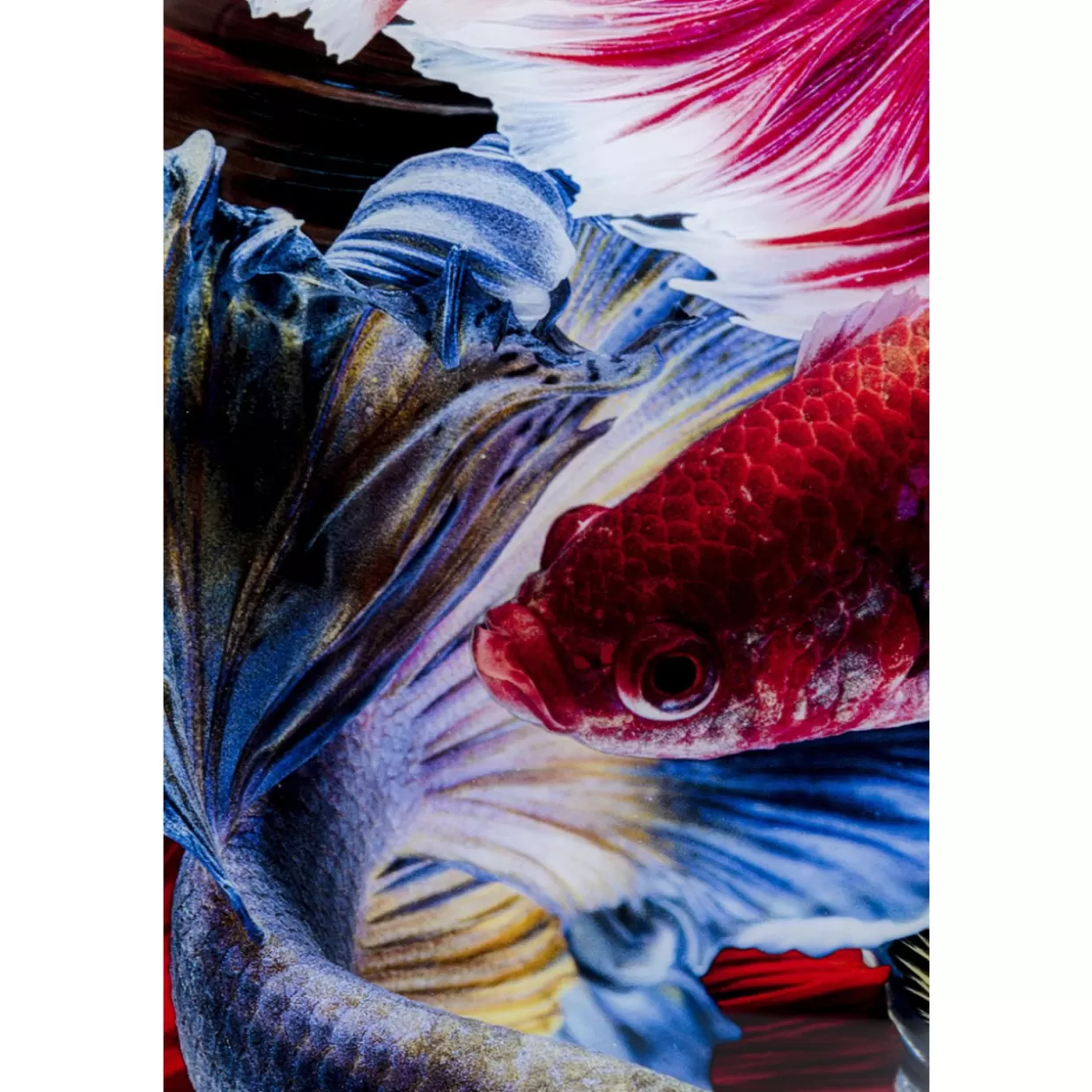 KARE Design Bilder | Glasbild Colorful Swarm Fish 120X120Cm