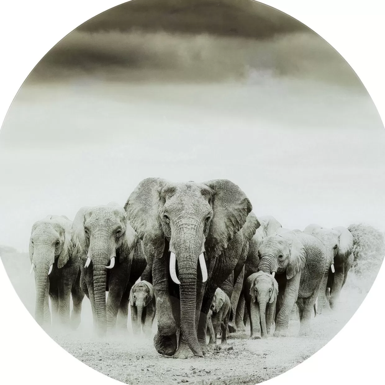 KARE Design Bilder | Glasbild Elephant Walk O120Cm