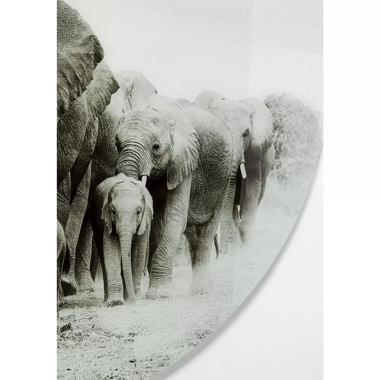 KARE Design Bilder | Glasbild Elephant Walk O120Cm