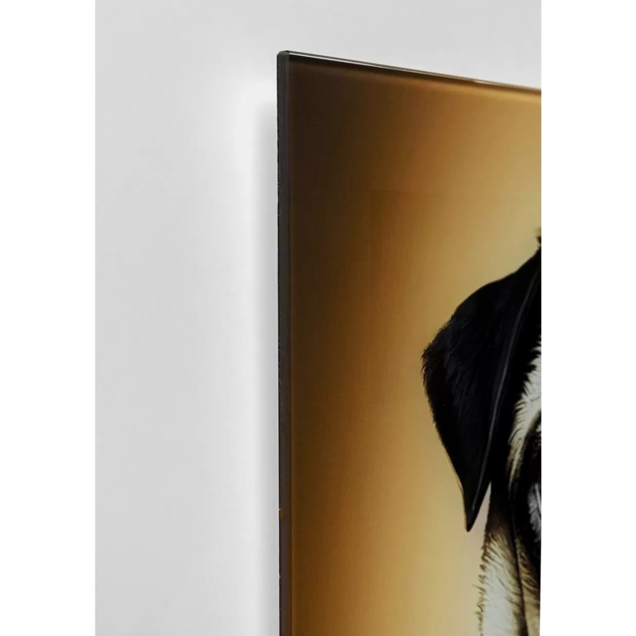 KARE Design Bilder | Glasbild Prince Pug 40X60Cm