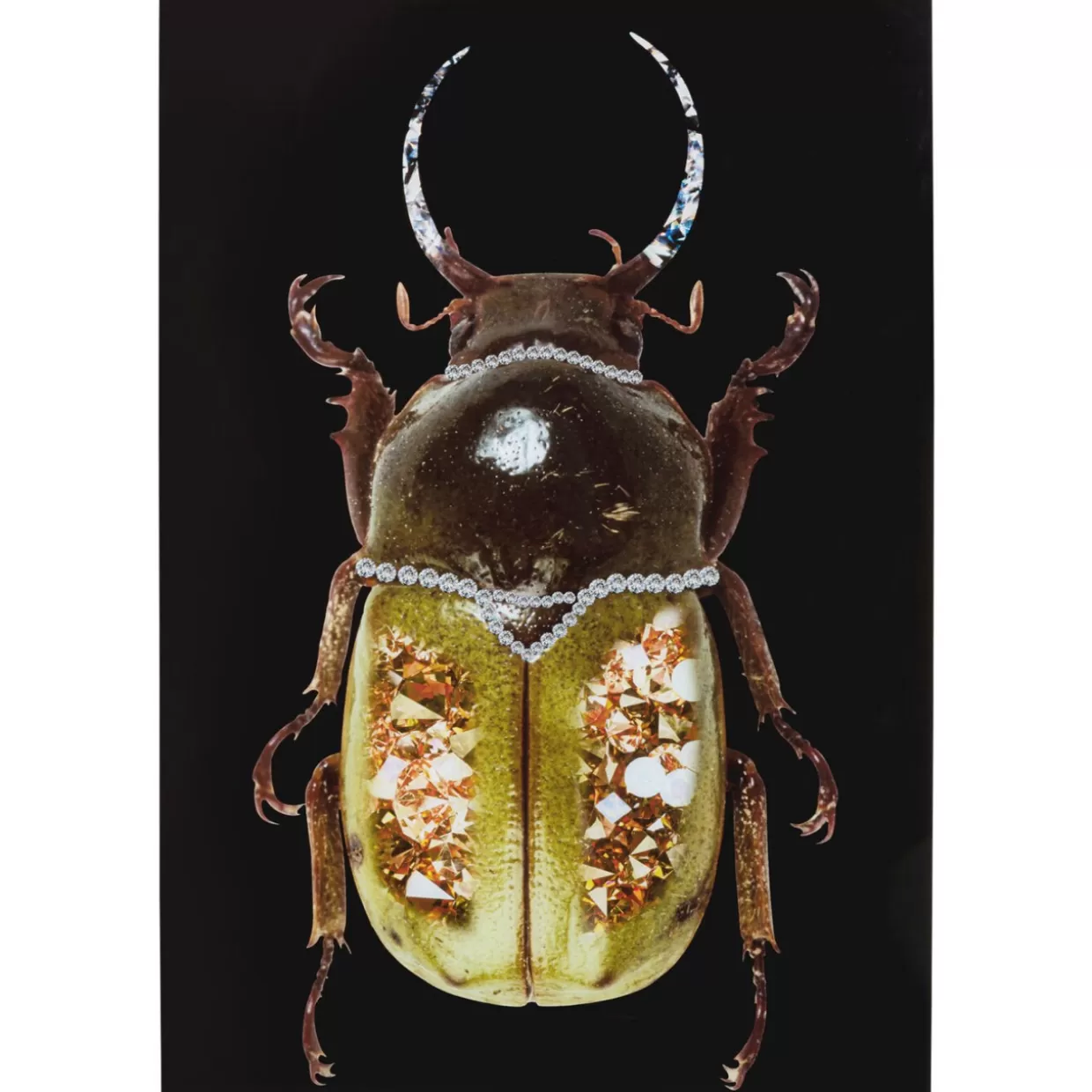 KARE Design Bilder | Glasbild Shiney Dung Beetle 80X120Cm
