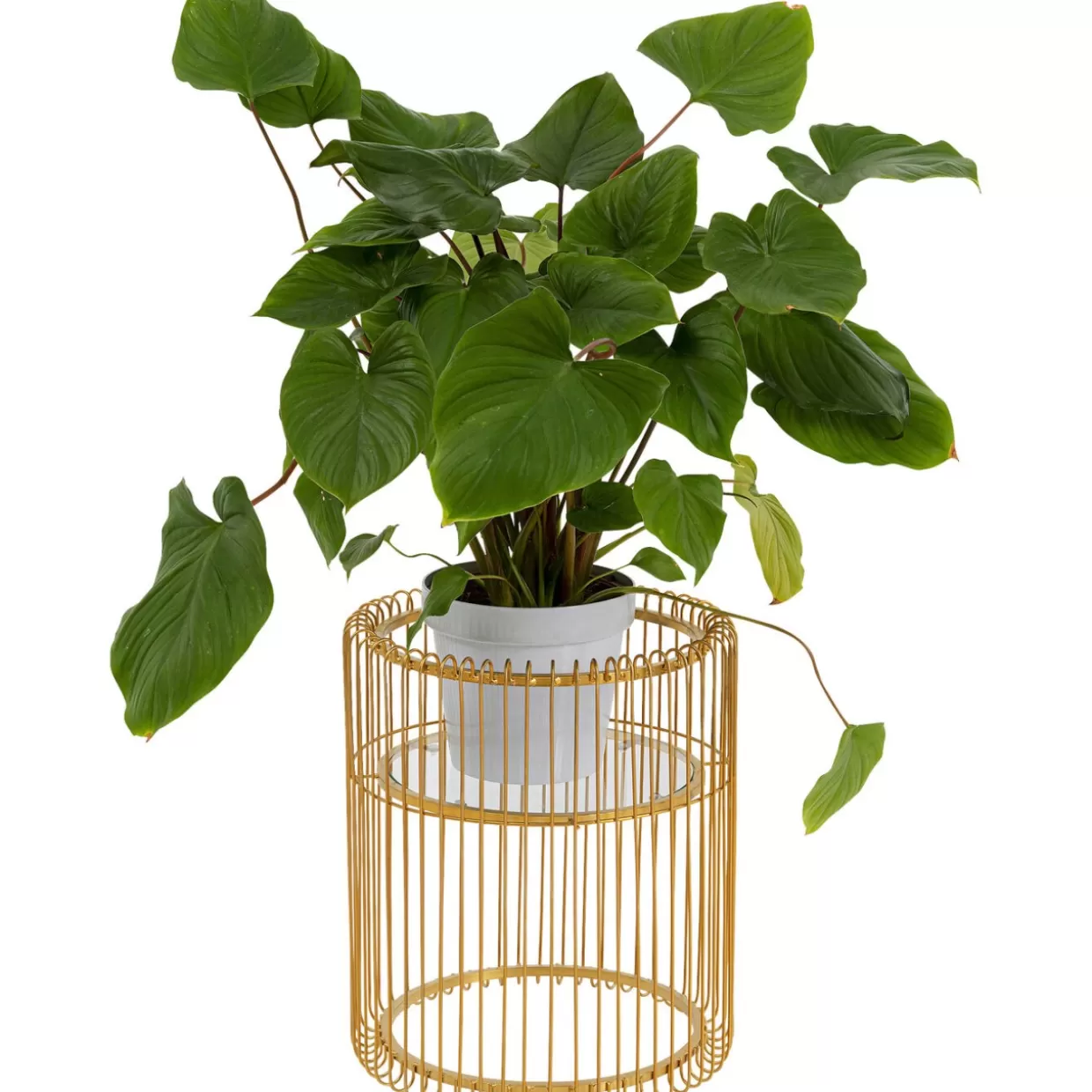 KARE Design Aufbewahrung & Ordnung | Pflanzenstander Wire Gold 44Cm