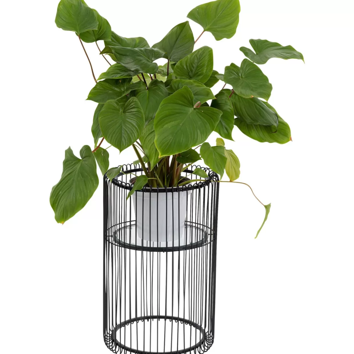KARE Design Aufbewahrung & Ordnung | Pflanzenstander Wire Schwarz 57Cm