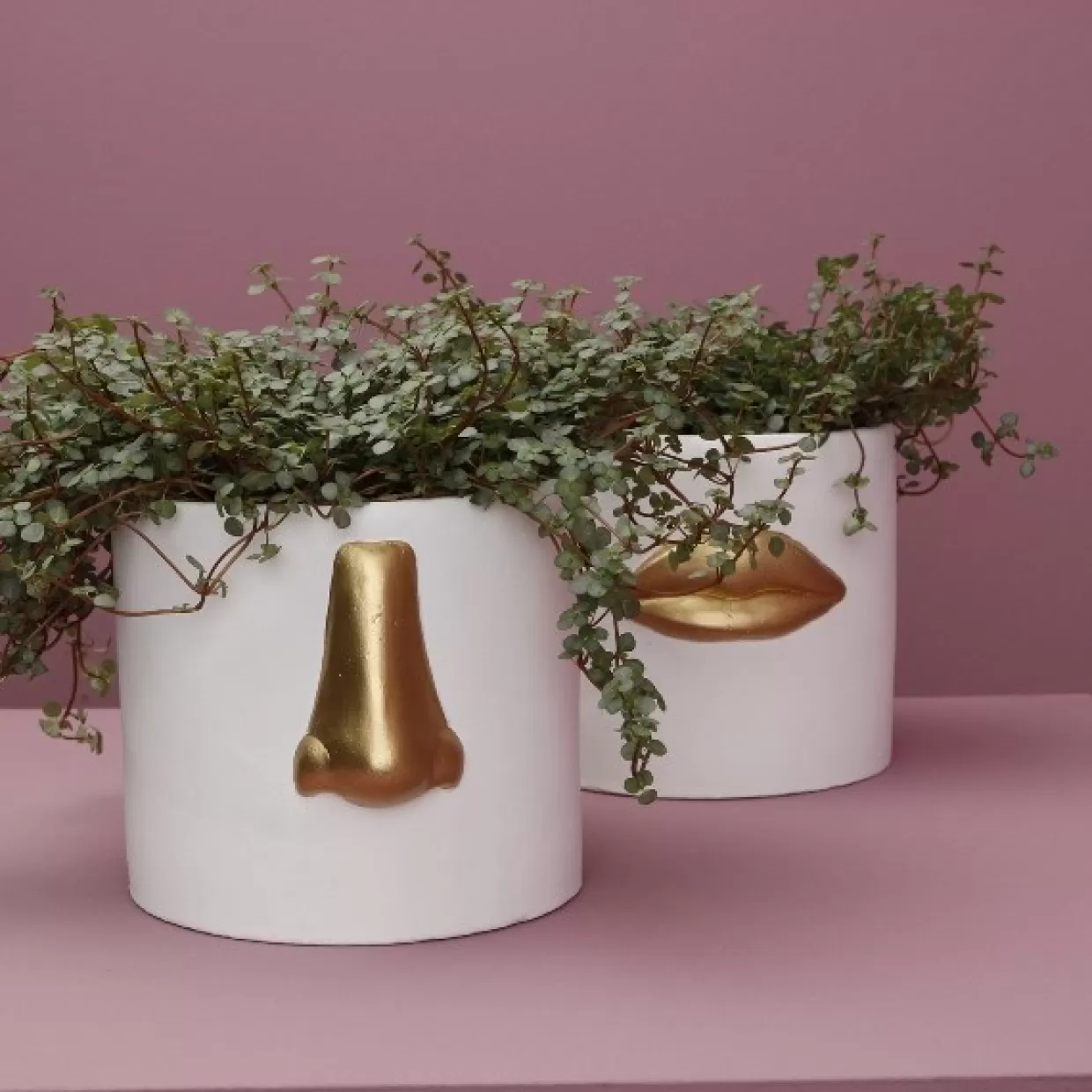 KARE Design Sonstiges & Zubehör Accessoires | Ubertopf Nase Weiss/Gold