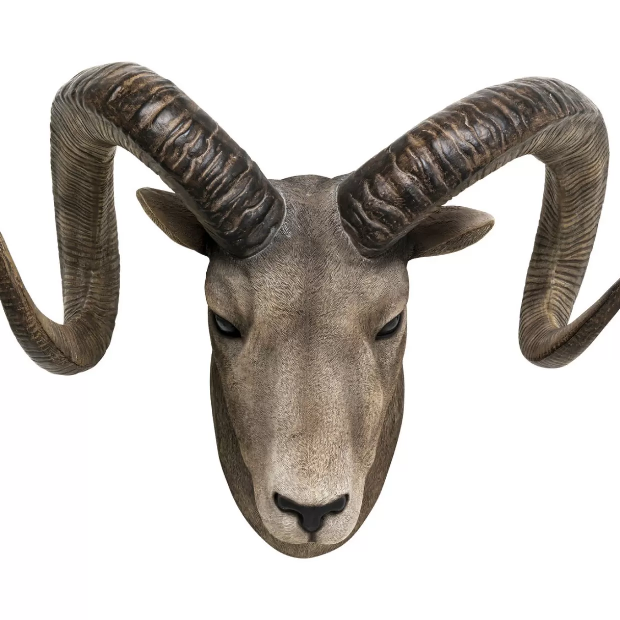 KARE Design Bilder | Wandobjekt Goat Head