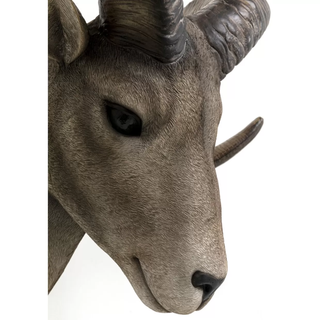 KARE Design Bilder | Wandobjekt Goat Head