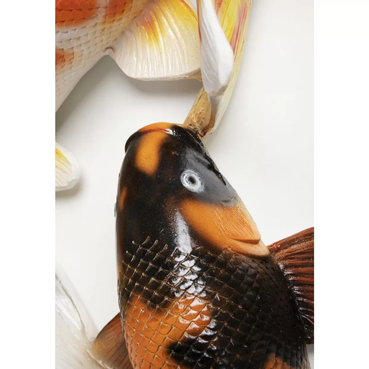 KARE Design Bilder | Wandobjekt School Of Koi Colore O102Cm