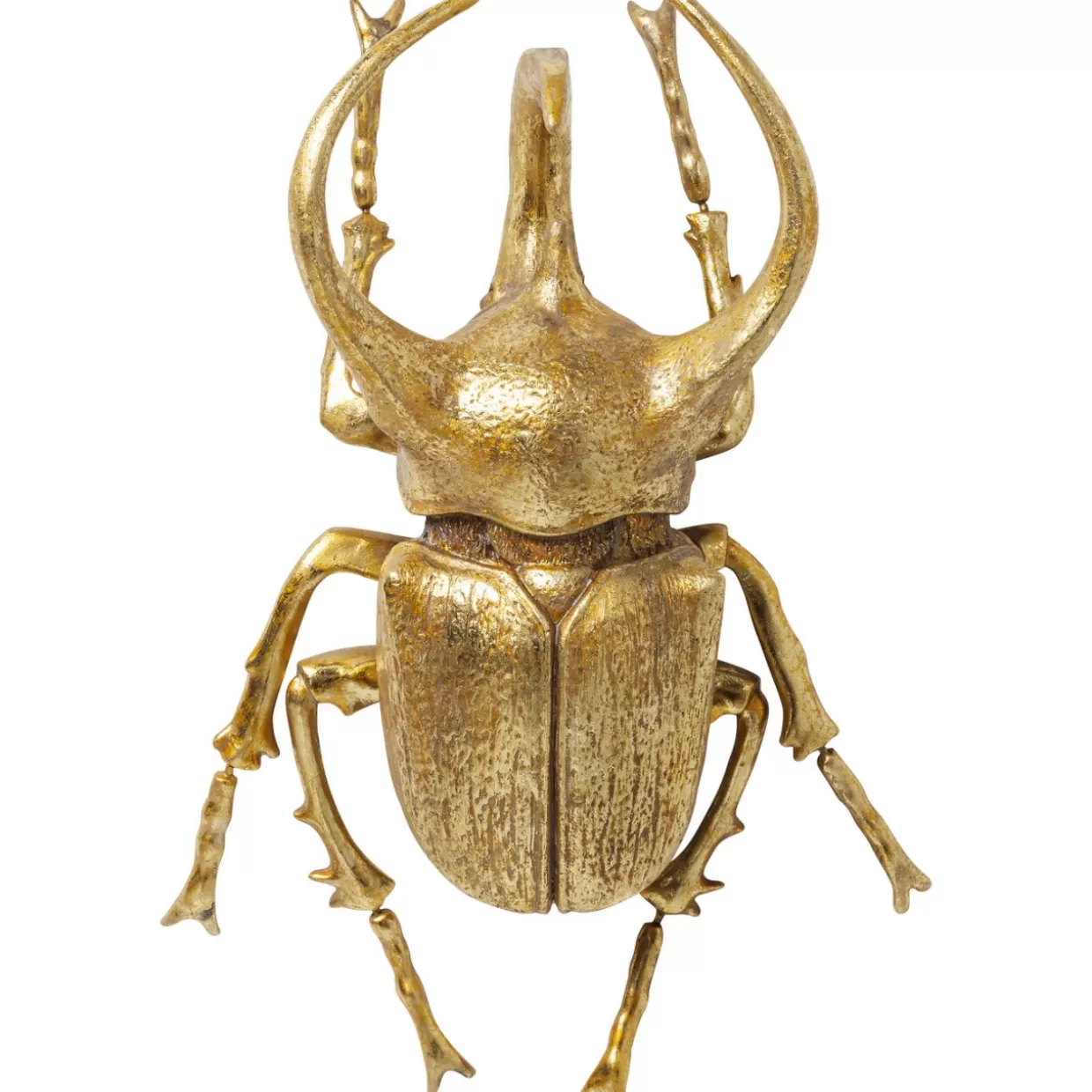 KARE Design Bilder | Wandschmuck Atlas Beetle Gold