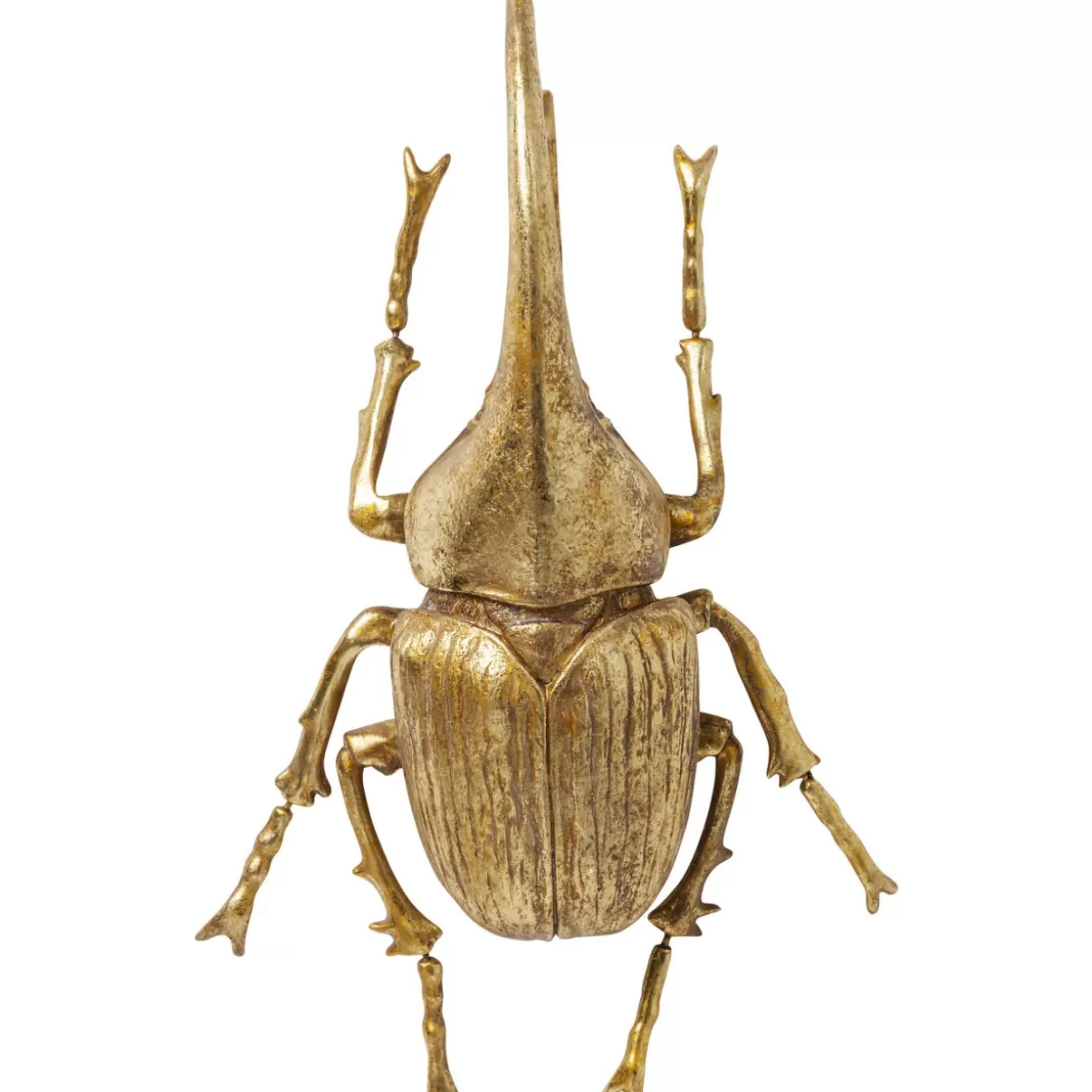 KARE Design Bilder | Wandschmuck Herkules Beetle Gold