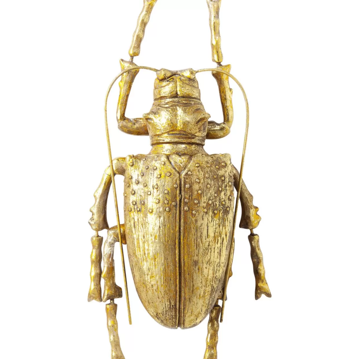 KARE Design Bilder | Wandschmuck Longicorn Beetle Gold