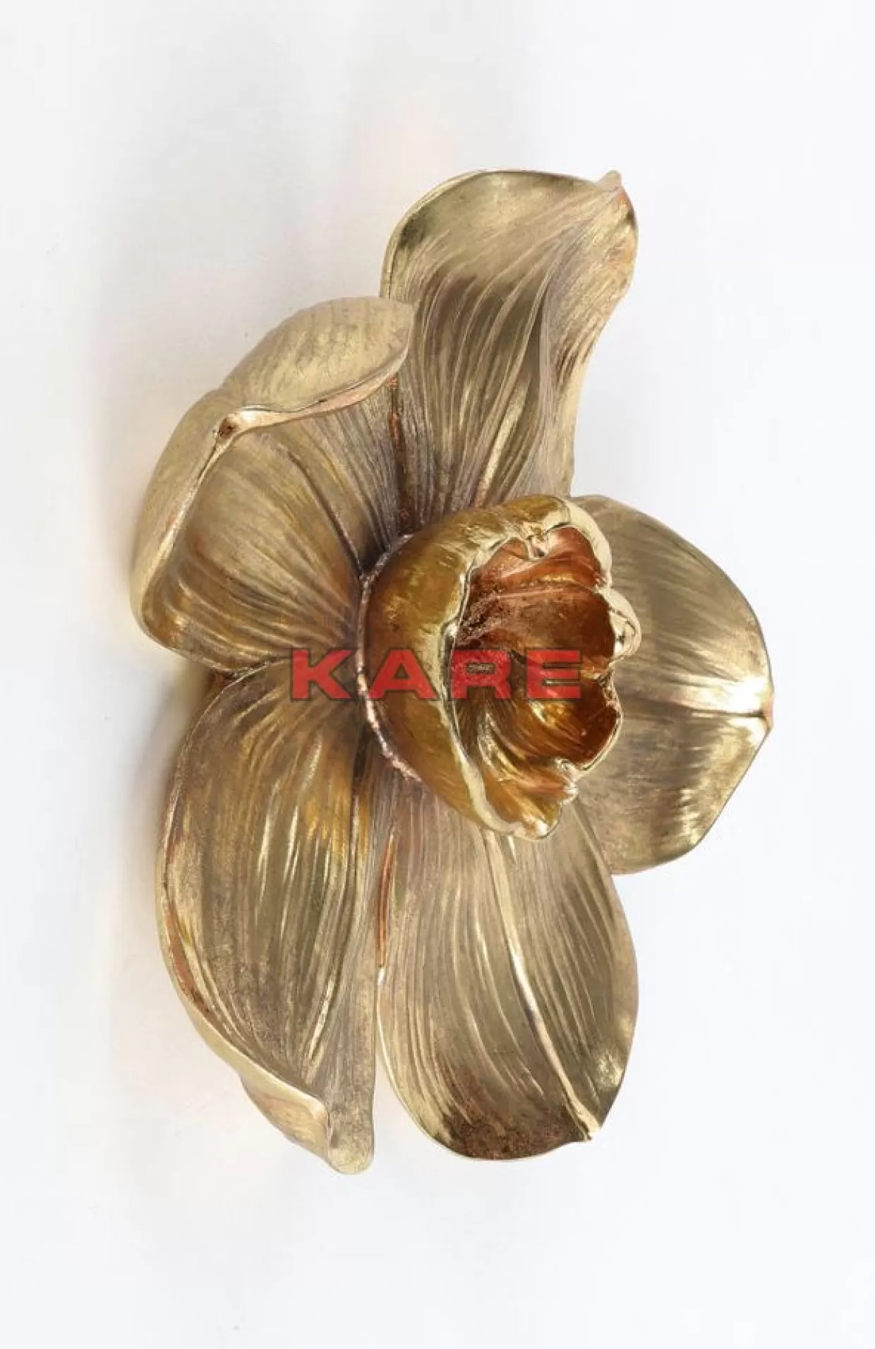 KARE Design Bilder | Wandschmuck Orchid Gold 44Cm