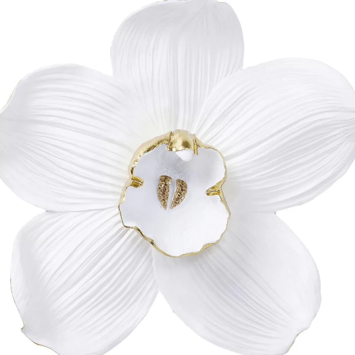 KARE Design Bilder | Wandschmuck Orchid Weis 54Cm