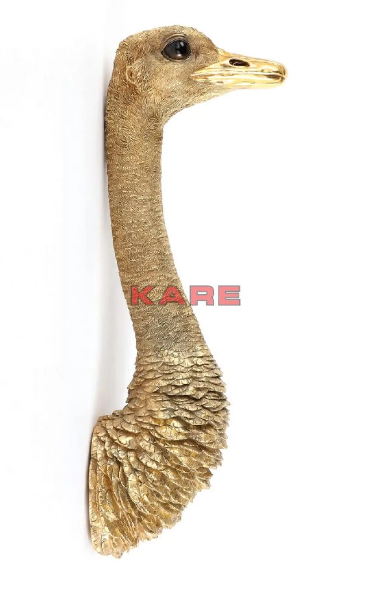 KARE Design Bilder | Wandschmuck Ostrich Gold