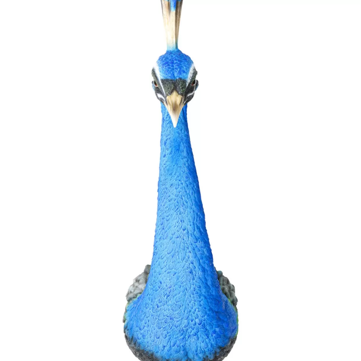 KARE Design Bilder | Wandschmuck Peacock